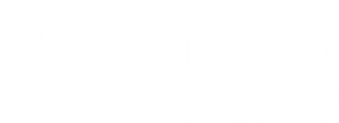 NySpins logotyp