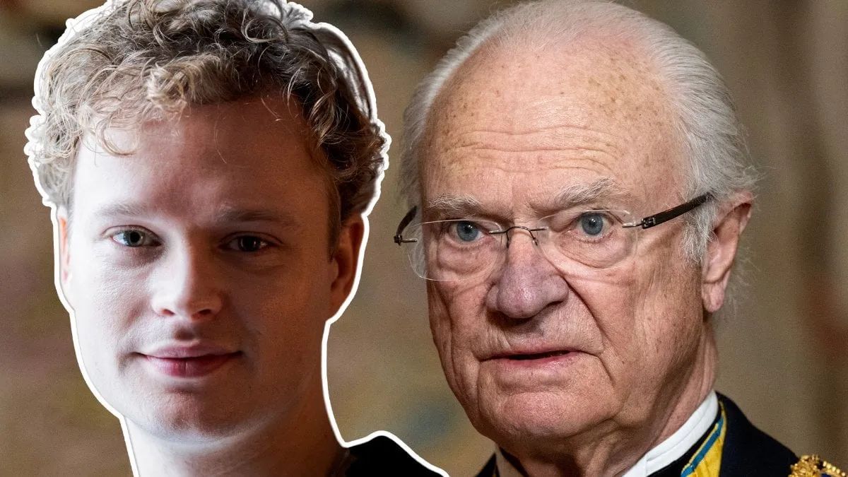 Edvin Endre förstår kungens oro för tv-serie om kungaparet