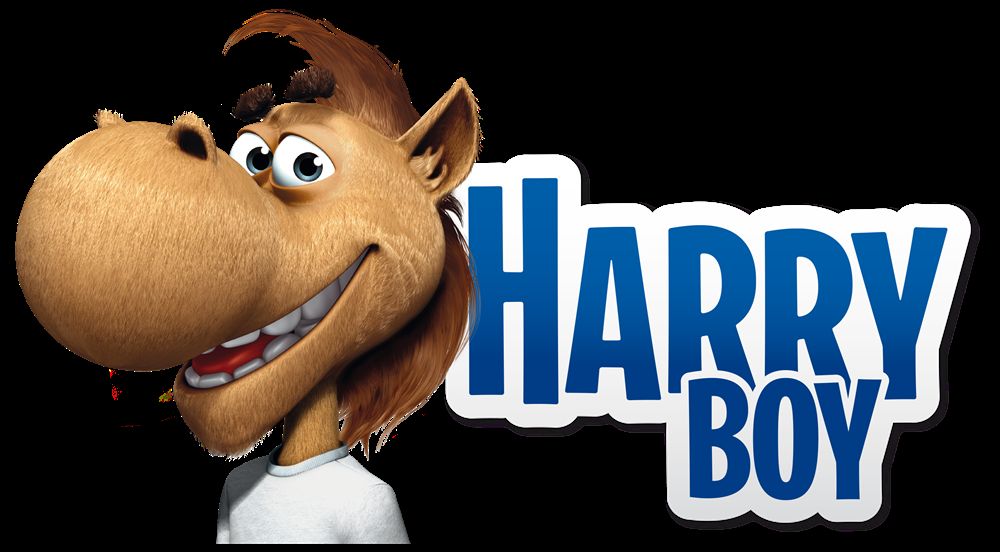 Harry Boy