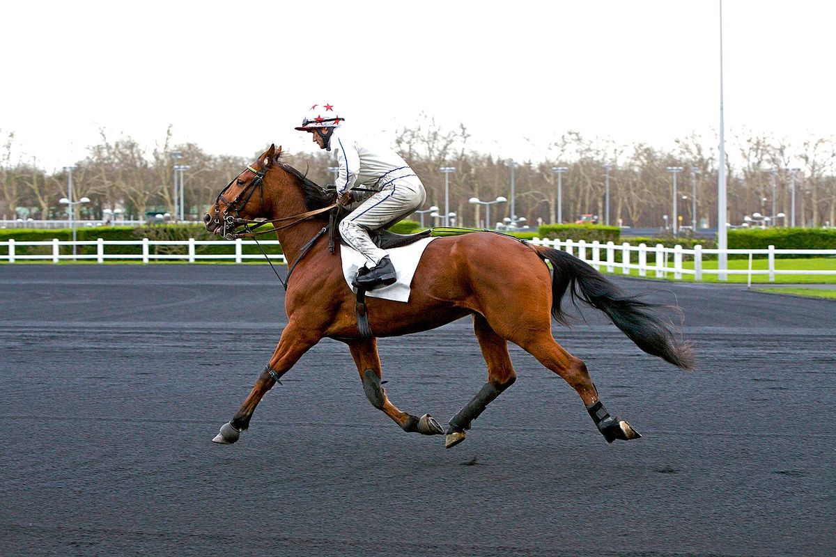 Monté