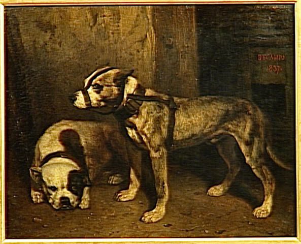 Bullterrier (hundrastyp)