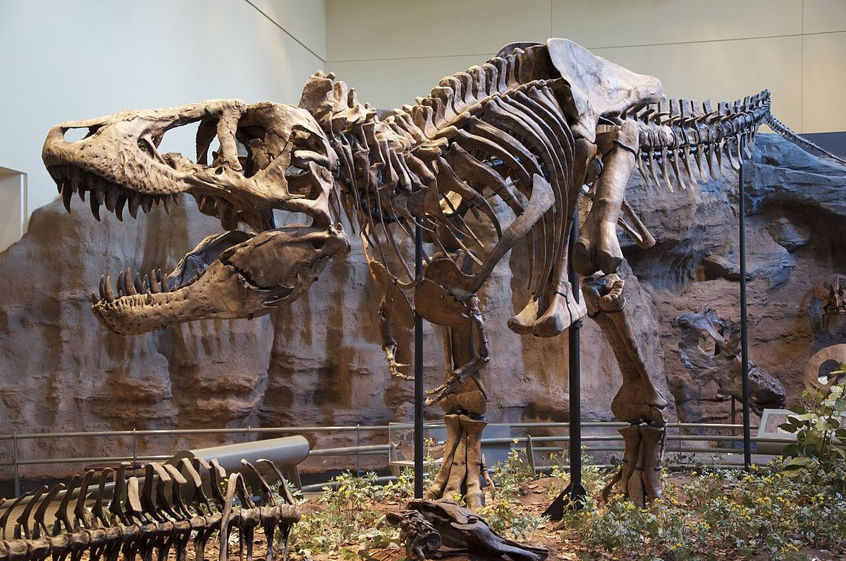 Dinosaurier