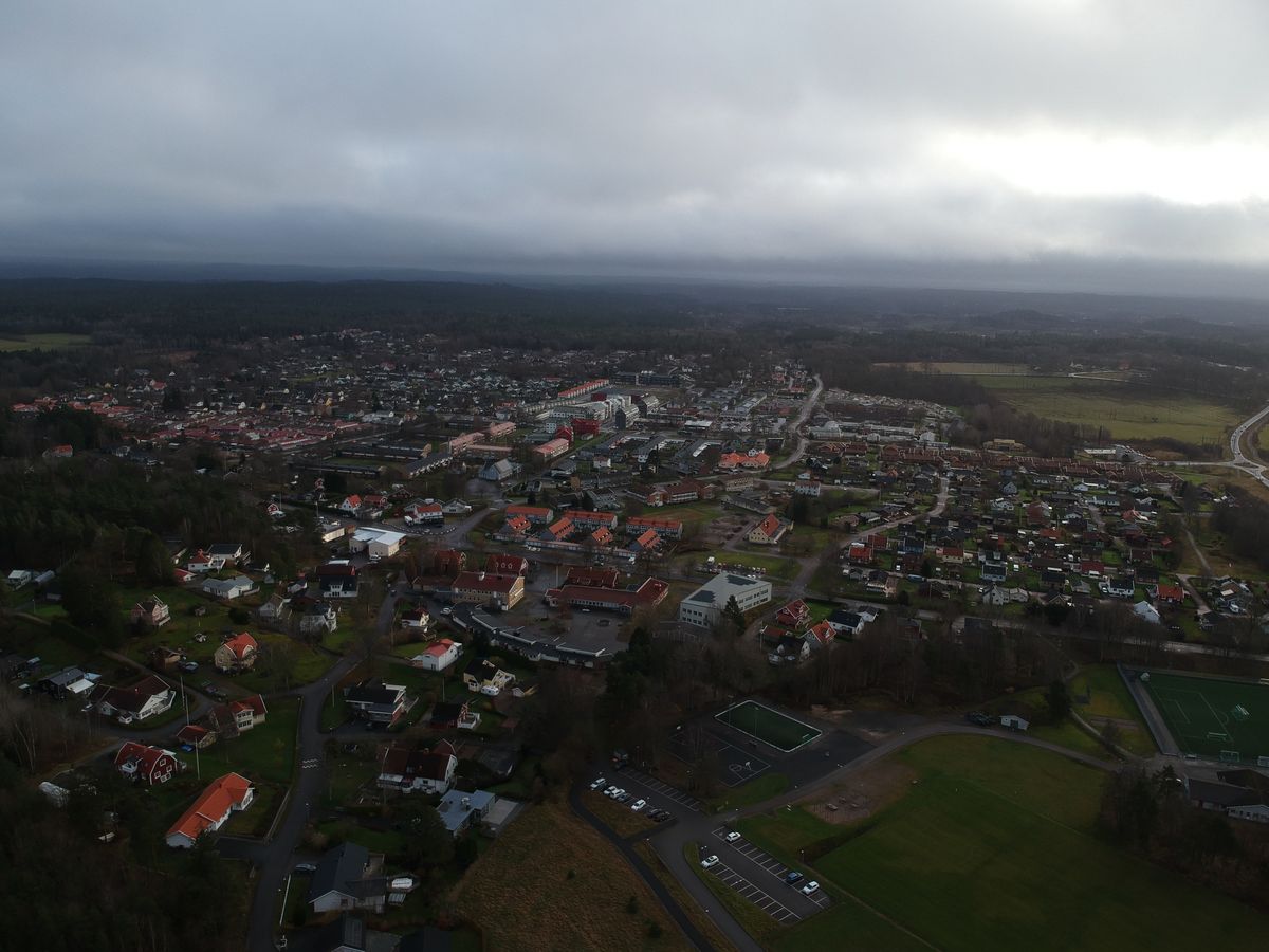 Gråbo