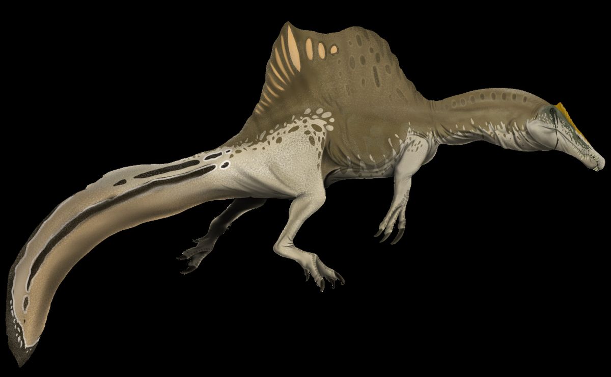 Spinosaurus