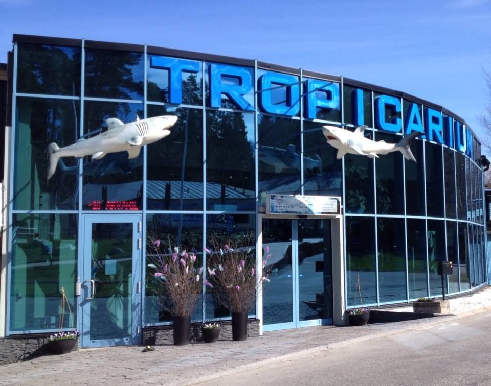 Tropicarium Kolmården