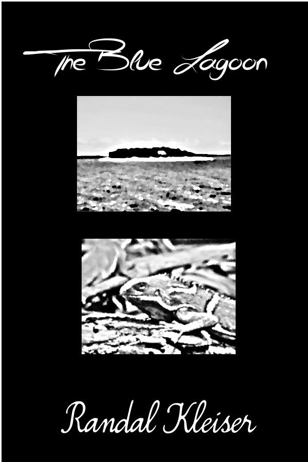 Den blå lagunen (1980)