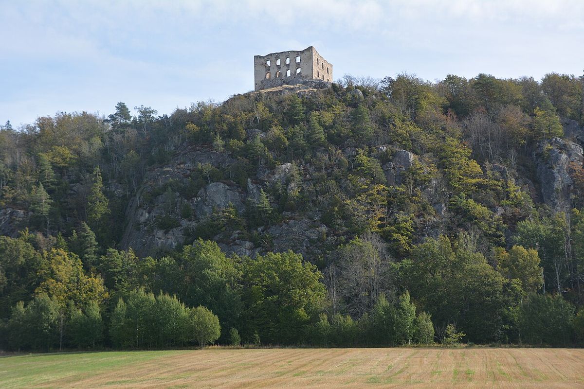 Brahehus