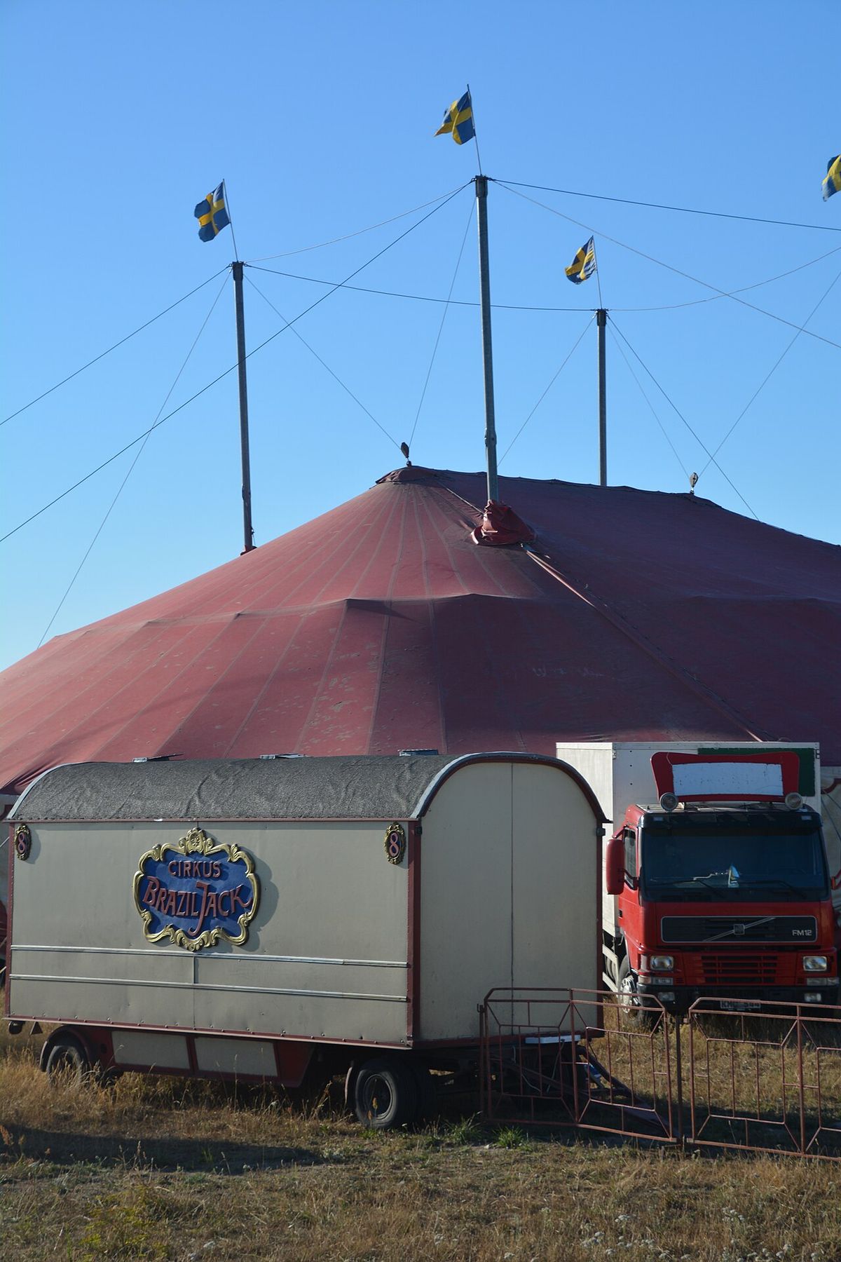 Cirkus Brazil Jack
