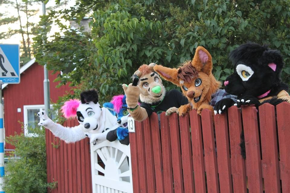 Furry