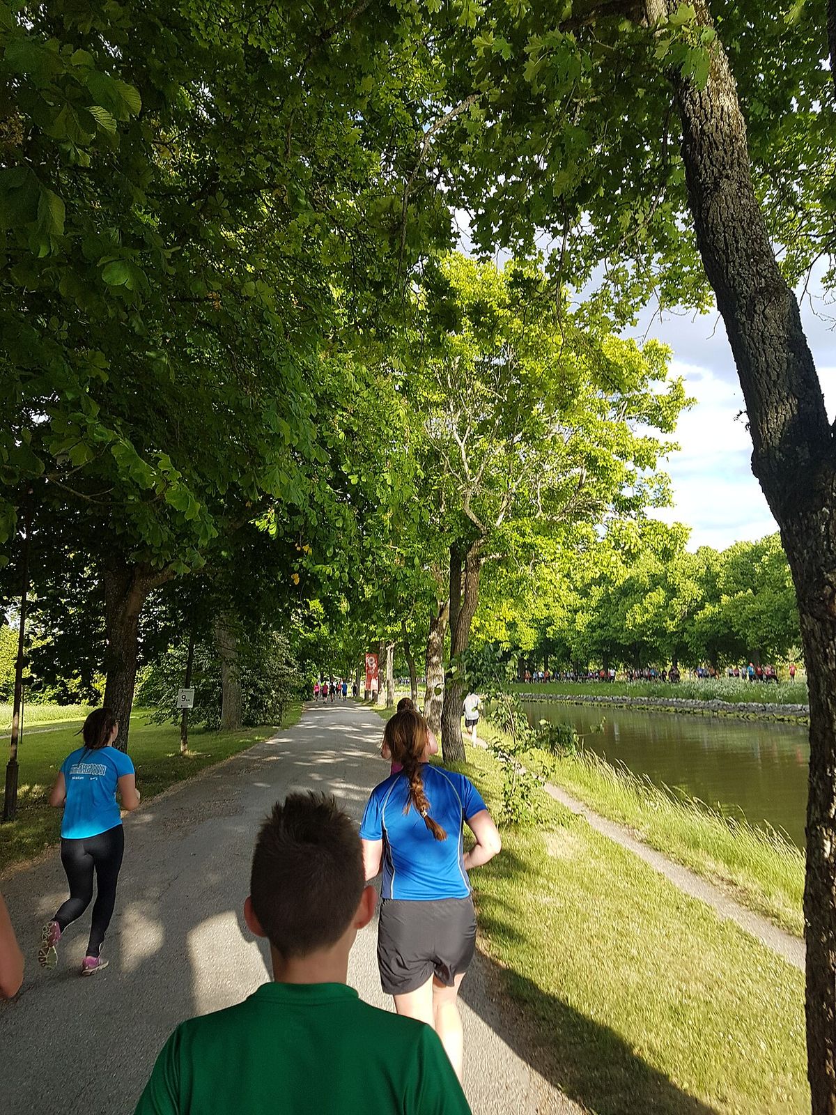 Blodomloppet (lopp)