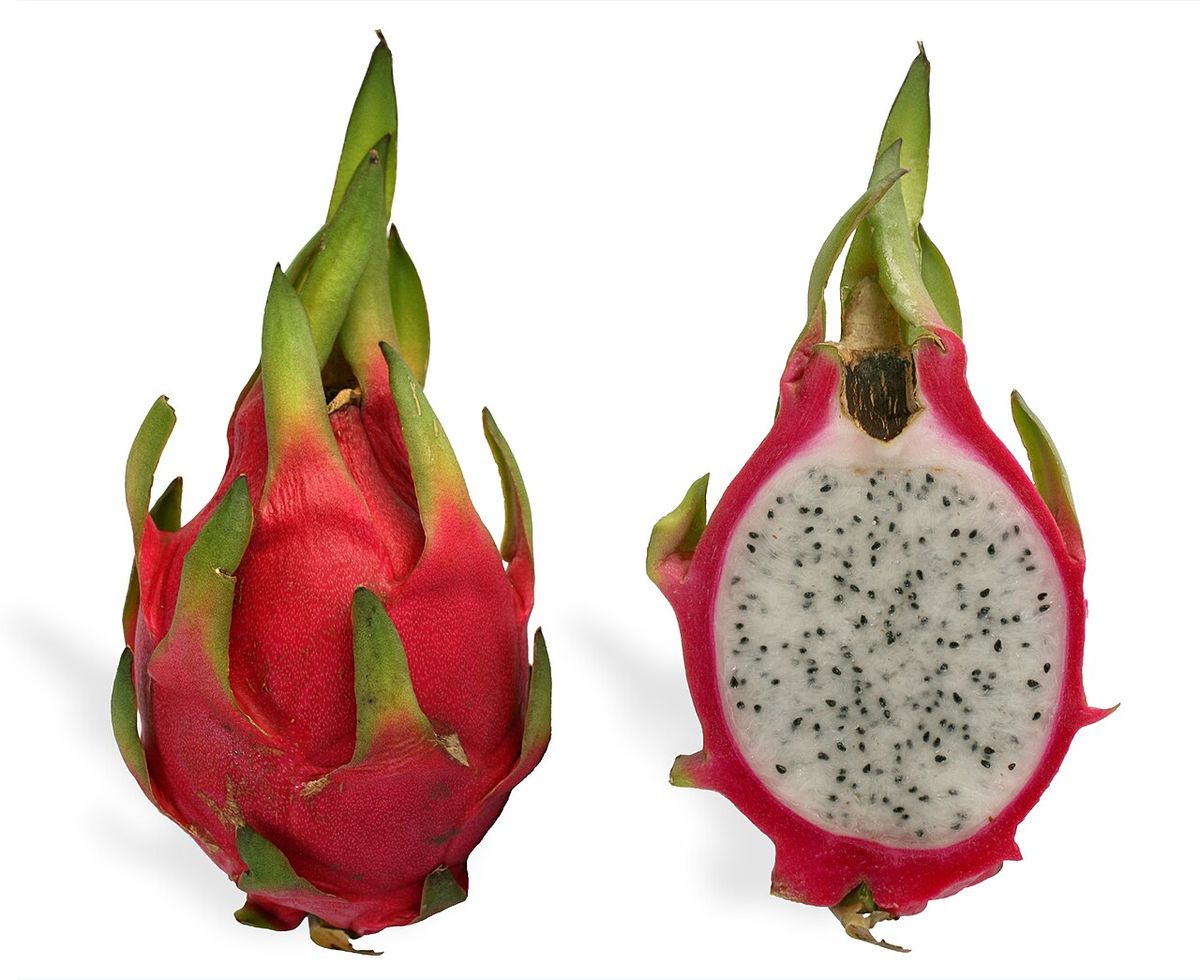 Drakfrukt