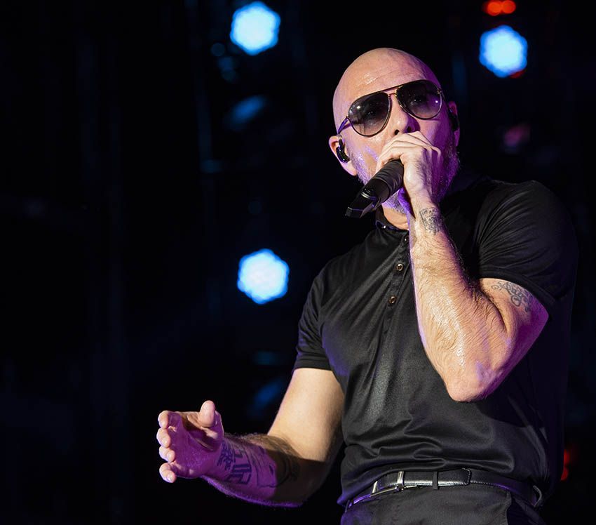 Pitbull