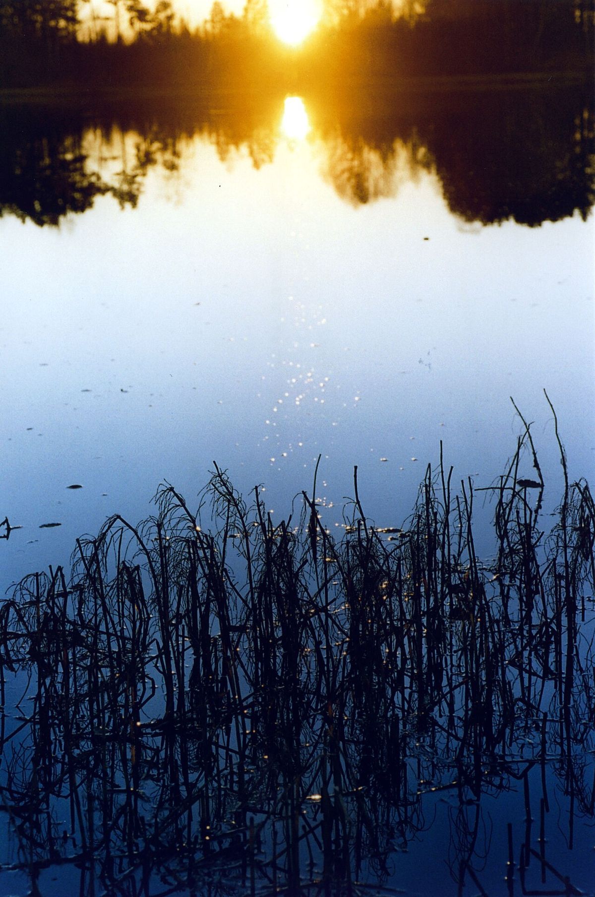 Ljusnan