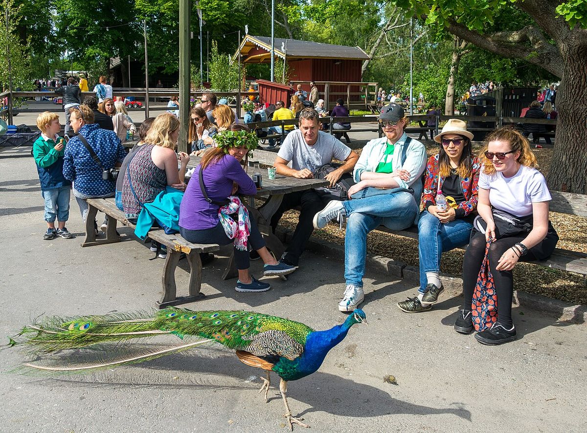 Skansen