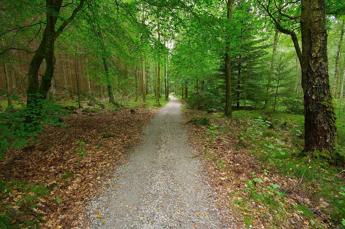 Skrylle naturreservat