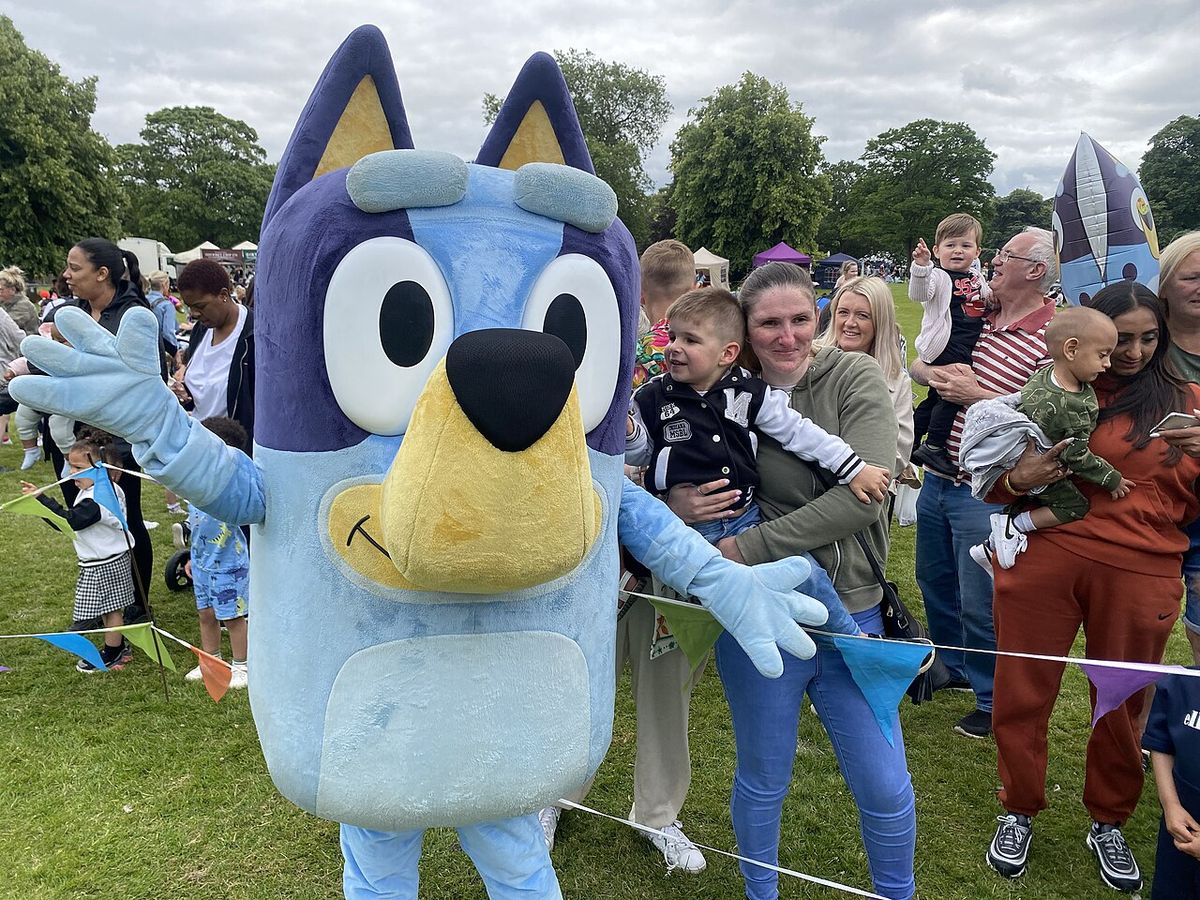 Bluey (TV-serie)