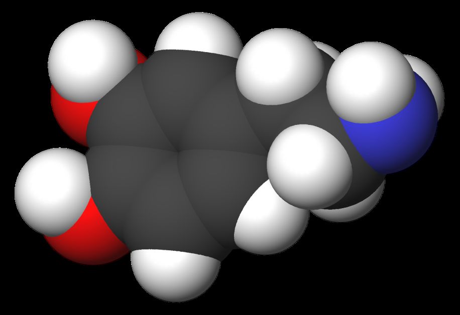 Dopamin