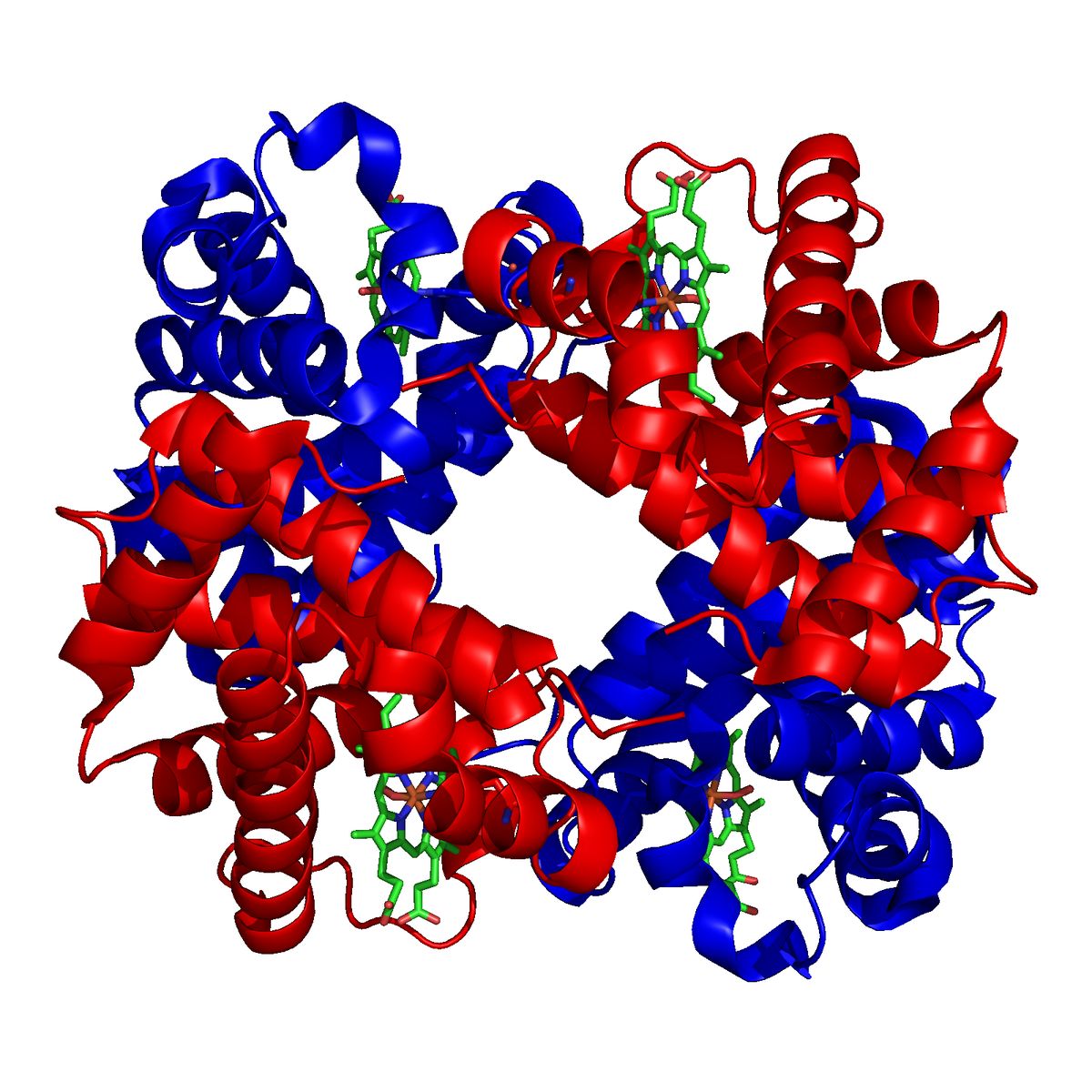 Hemoglobin