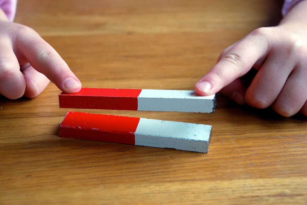 Magnet